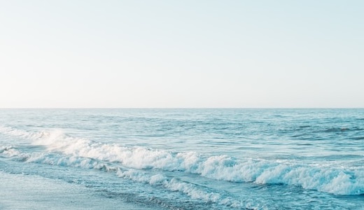 アイドルオタク必見！推しの生写真コレクションを身内で楽しむ写真共有オンラインアルバム